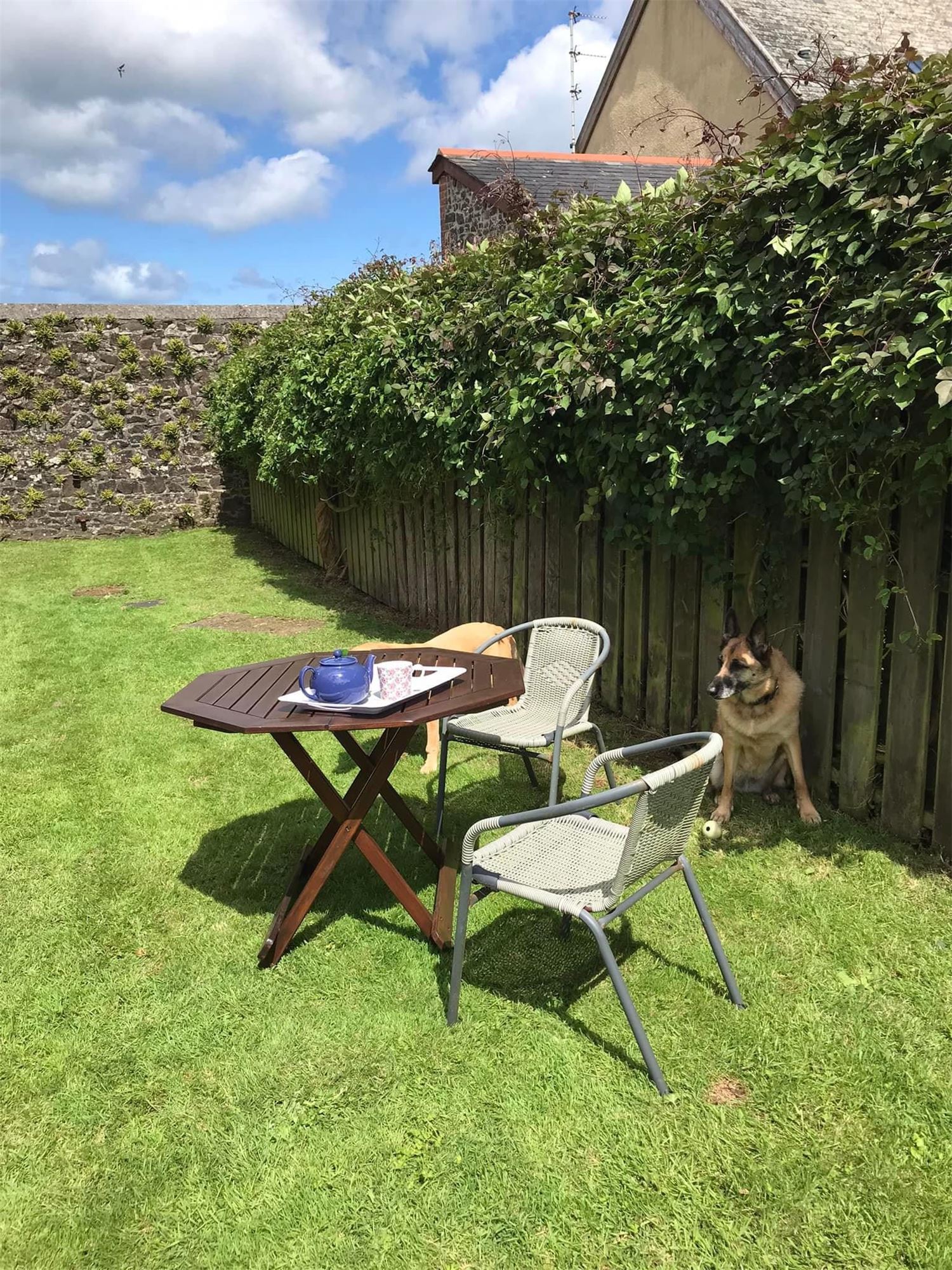 The enclosed back garden with a bistro patio set. The owner's dogs are waiting for treats